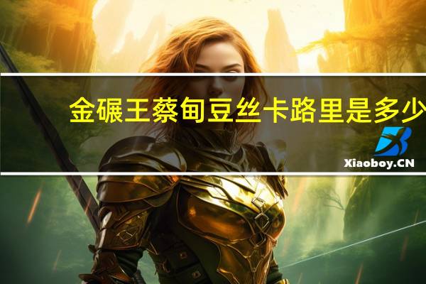 金碾王 蔡甸豆丝卡路里是多少