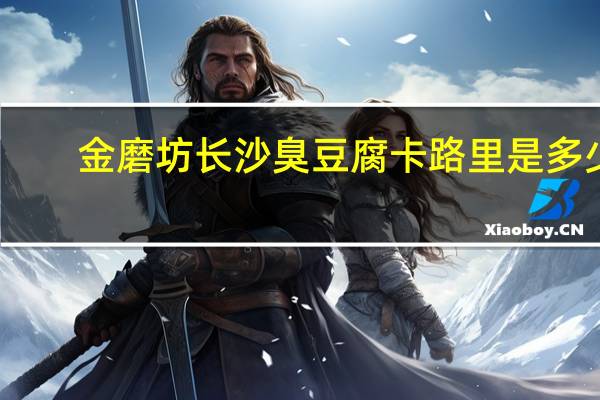 金磨坊 长沙臭豆腐卡路里是多少