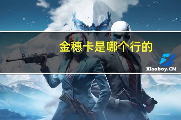 金穗卡是哪个行的（金穗卡是什么卡）