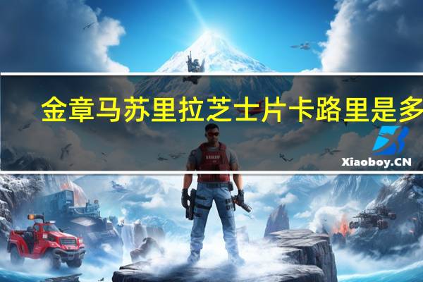 金章 马苏里拉芝士片卡路里是多少