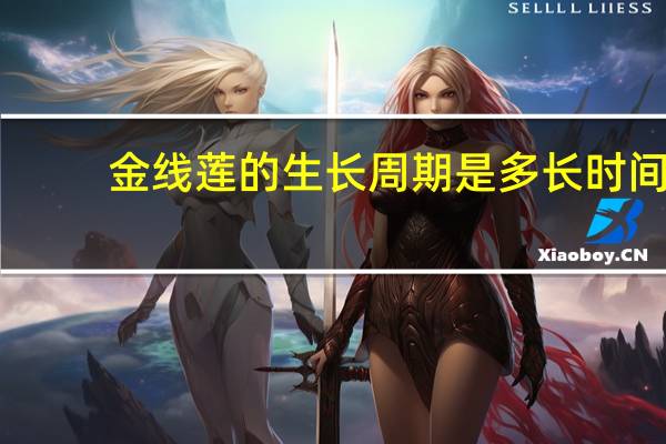 金线莲的生长周期是多长时间