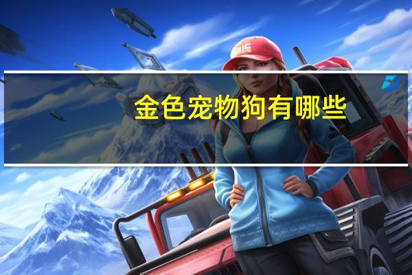 金色宠物狗有哪些