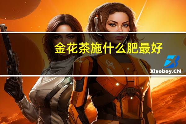 金花茶施什么肥最好
