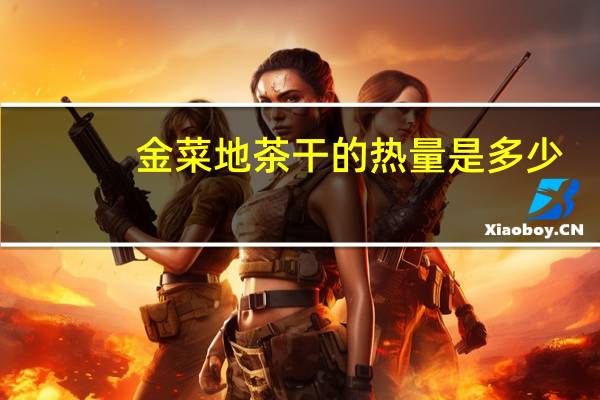 金菜地 茶干的热量是多少
