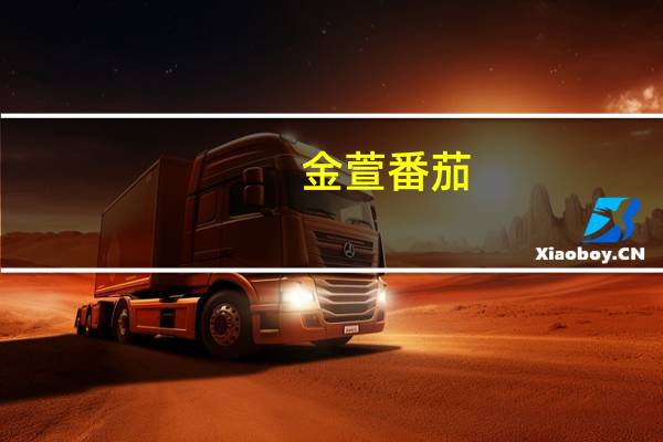 金萱 番茄(果脯)卡路里是多少