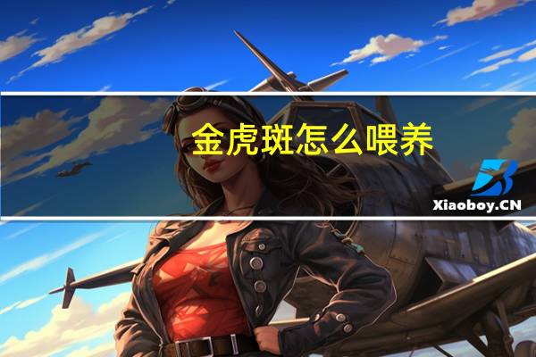 金虎斑怎么喂养