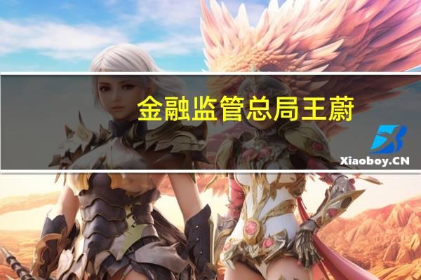 金融监管总局王蔚：持续优化数字金融发展环境