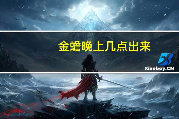 金蟾晚上几点出来