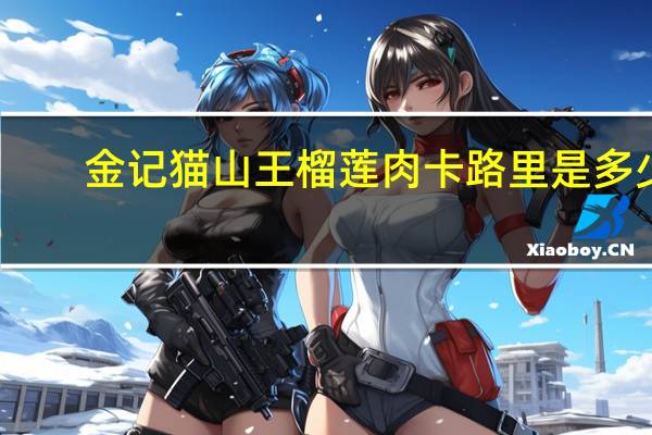 金记 猫山王榴莲肉卡路里是多少