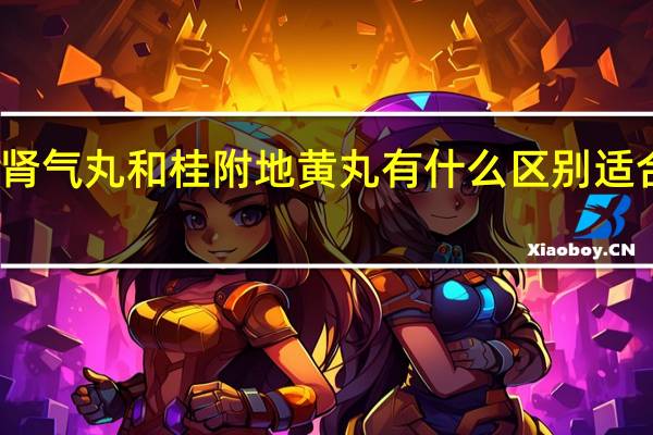 金贵肾气丸和桂附地黄丸有什么区别适合哪些人吃