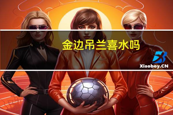 金边吊兰喜水吗