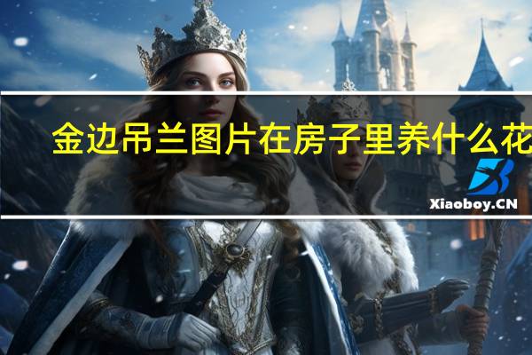 金边吊兰图片在房子里养什么花好（金边吊兰图片）