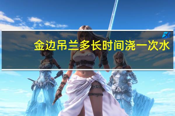 金边吊兰多长时间浇一次水