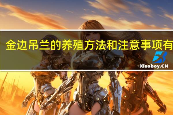 金边吊兰的养殖方法和注意事项有哪些