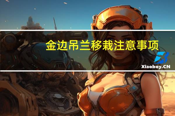 金边吊兰移栽注意事项