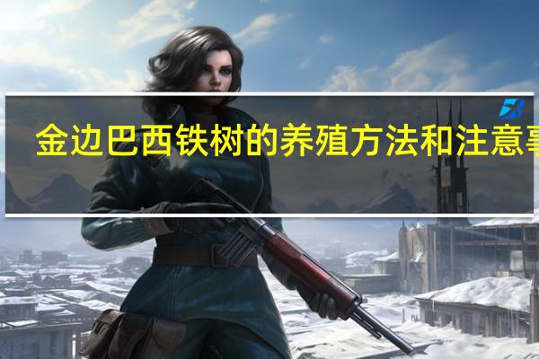 金边巴西铁树的养殖方法和注意事项