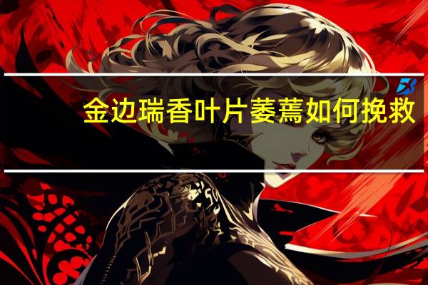 金边瑞香叶片萎蔫如何挽救