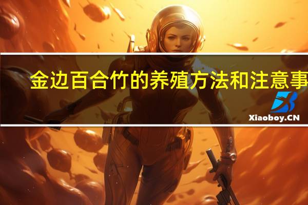 金边百合竹的养殖方法和注意事项