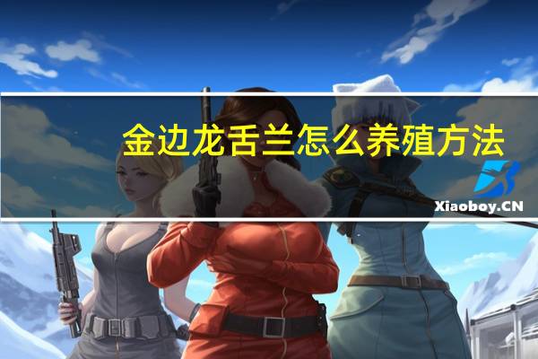 金边龙舌兰怎么养殖方法