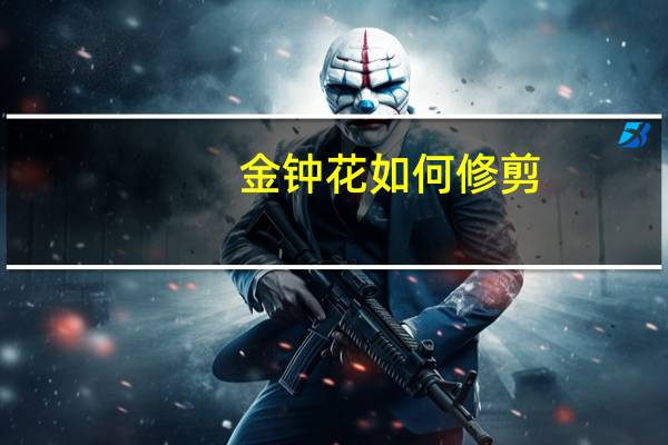 金钟花如何修剪