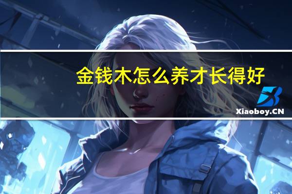 金钱木怎么养才长得好