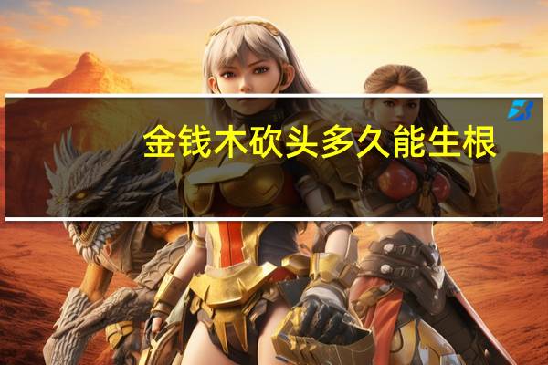 金钱木砍头多久能生根