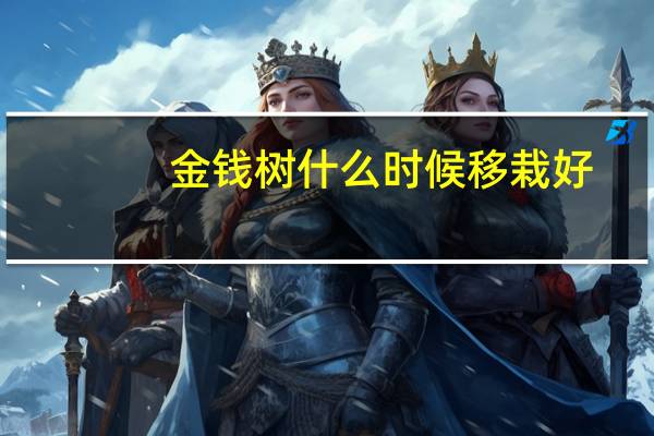 金钱树什么时候移栽好