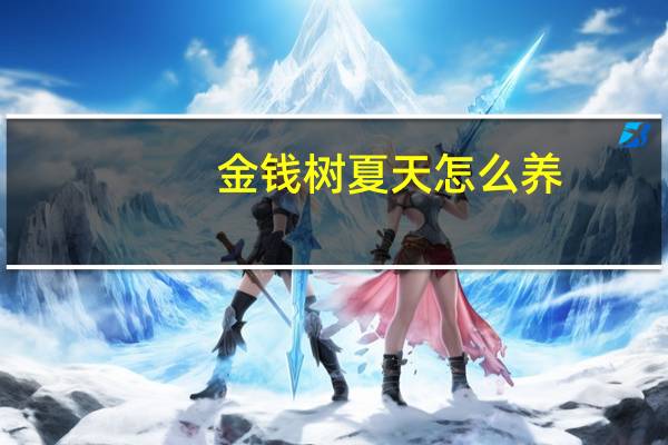金钱树夏天怎么养：适当遮阴勿要多浇水