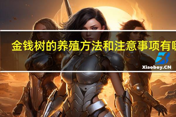 金钱树的养殖方法和注意事项有哪些