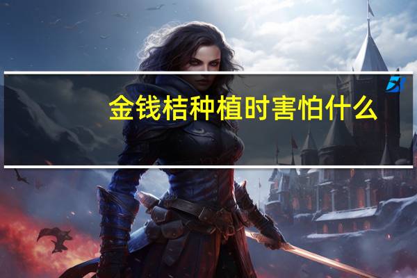 金钱桔种植时害怕什么