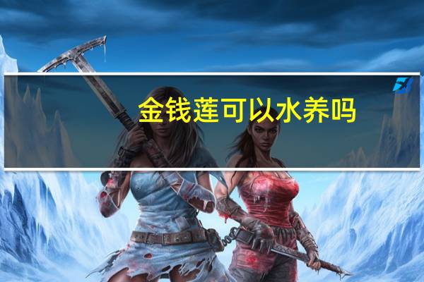金钱莲可以水养吗