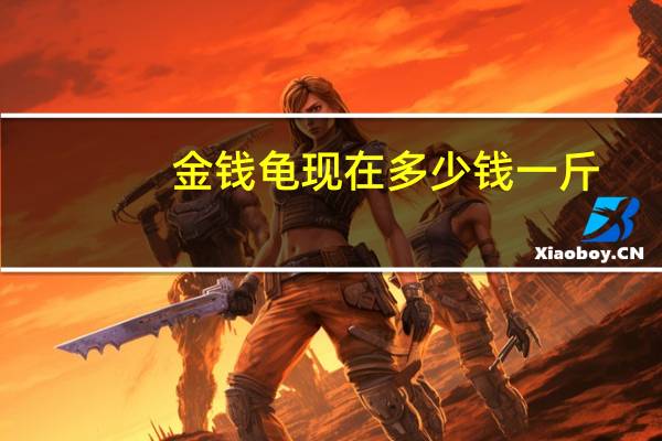 金钱龟现在多少钱一斤