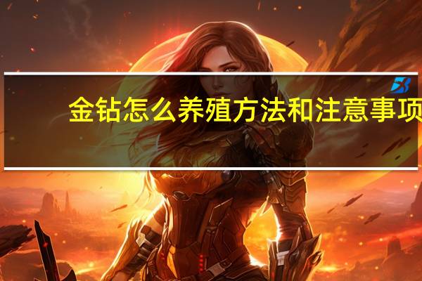 金钻怎么养殖方法和注意事项