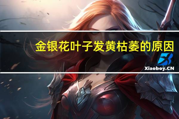 金银花叶子发黄枯萎的原因