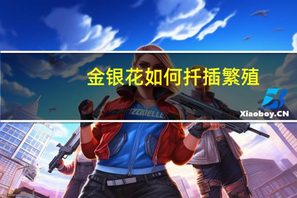金银花如何扦插繁殖