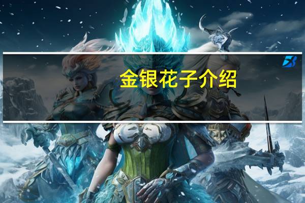 金银花子介绍