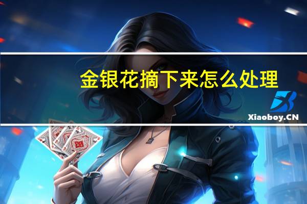 金银花摘下来怎么处理