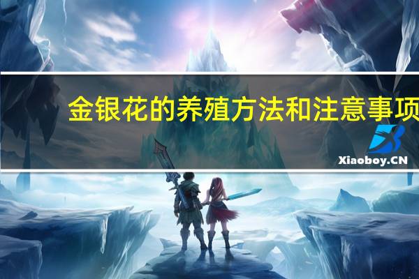 金银花的养殖方法和注意事项