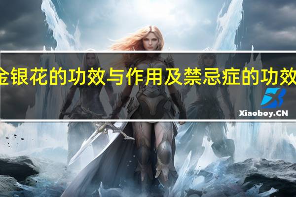 金银花的功效与作用及禁忌症的功效与作用