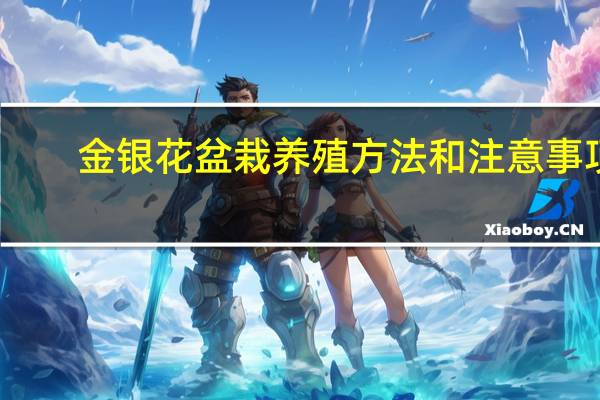 金银花盆栽养殖方法和注意事项