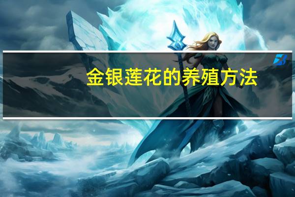 金银莲花的养殖方法