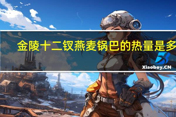 金陵十二钗 燕麦锅巴的热量是多少