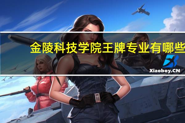 金陵科技学院王牌专业有哪些