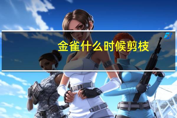 金雀什么时候剪枝
