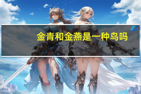 金青和金燕是一种鸟吗