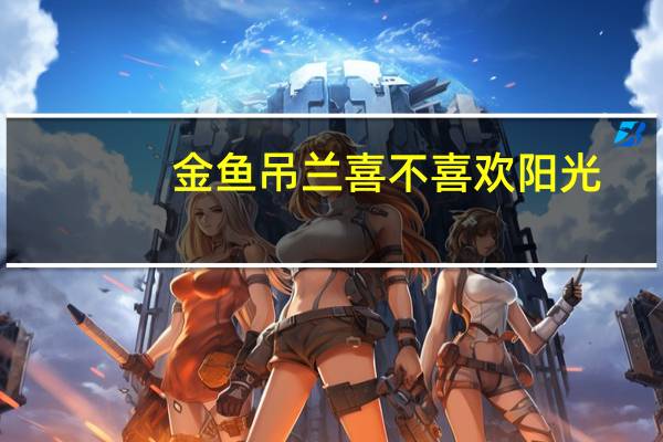 金鱼吊兰喜不喜欢阳光