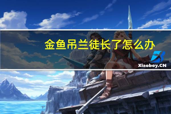 金鱼吊兰徒长了怎么办