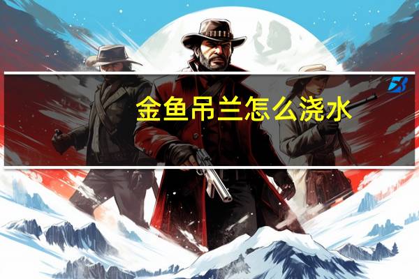 金鱼吊兰怎么浇水