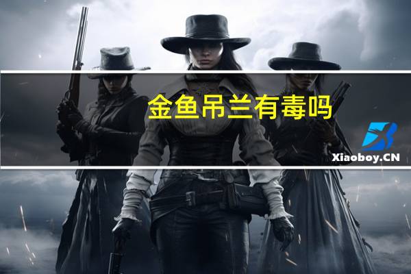 金鱼吊兰有毒吗