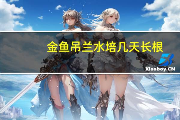 金鱼吊兰水培几天长根